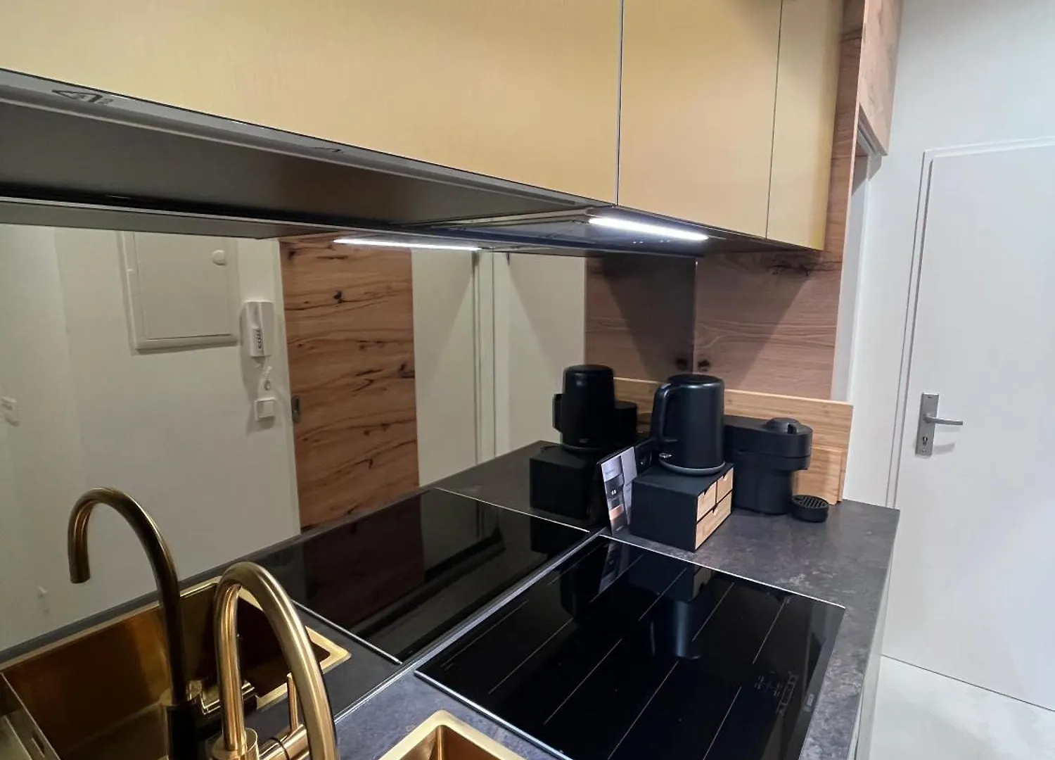 Luxurious One Room Apartment Near Schoenbrunn Palace Vienna